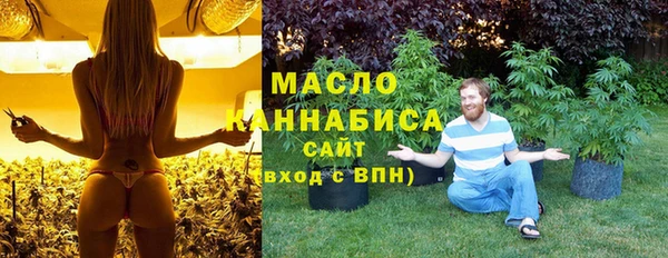 гидропоника Бородино