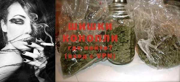 гидропоника Бородино