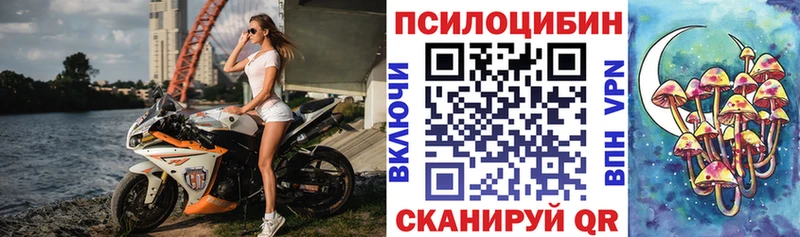 купить наркоту  Буинск  Псилоцибиновые грибы Psilocybe 